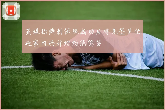 英媒称热刺保级成功后将免签罗伯逊塞内西并续约范德芬